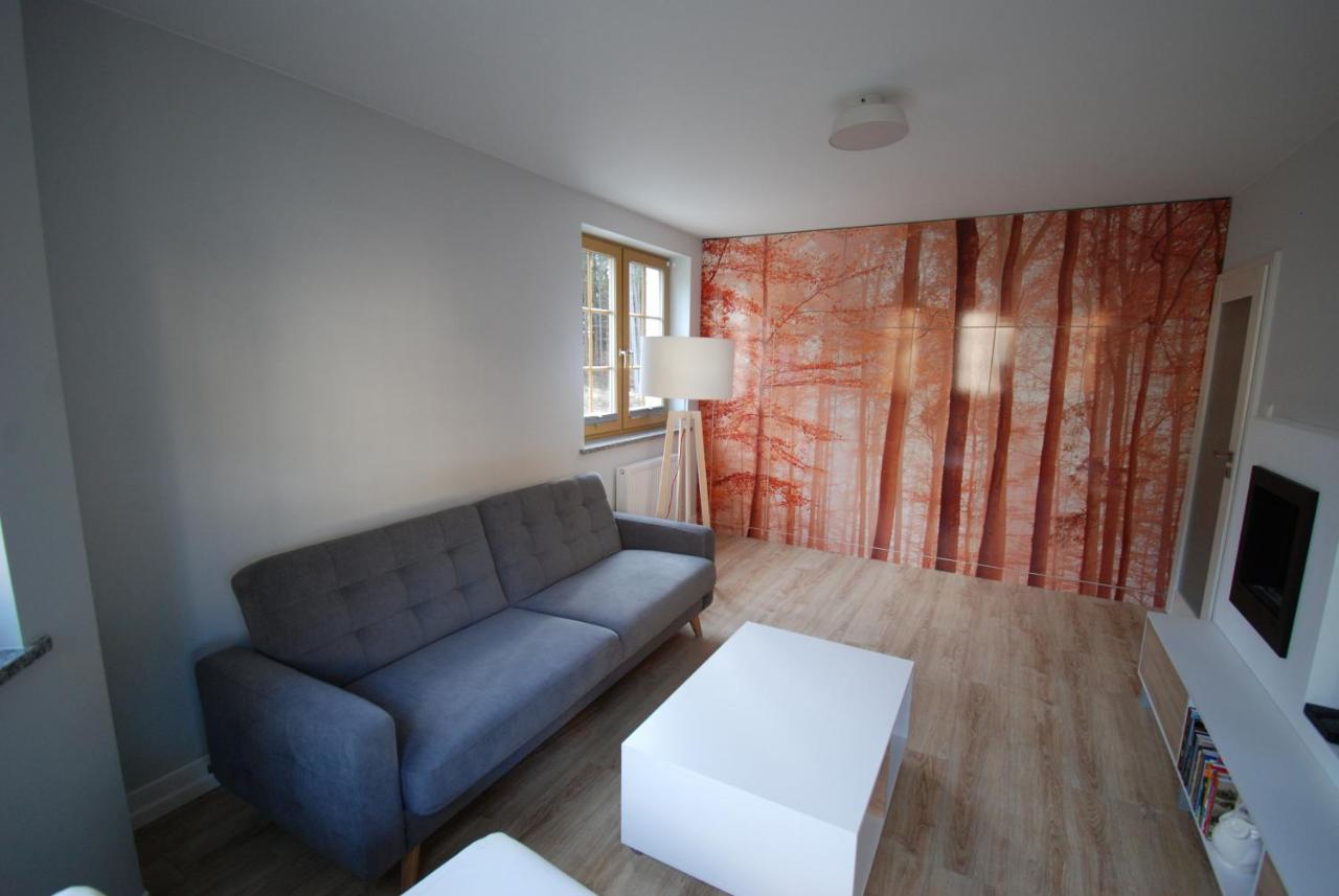 Appartement Tla Schreiberhau Extérieur photo